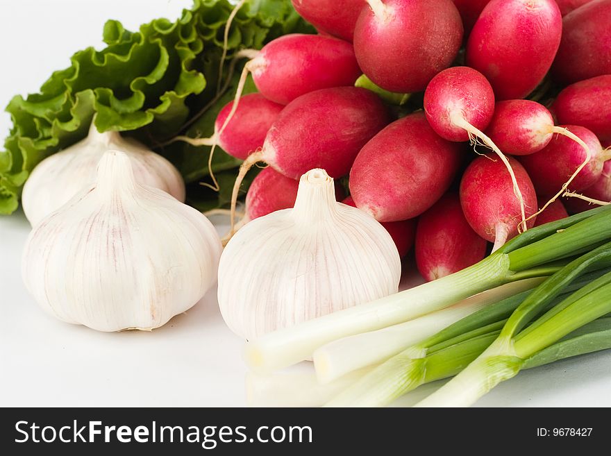 Spring onions, garlic, lettuce and radish bunch on the white background