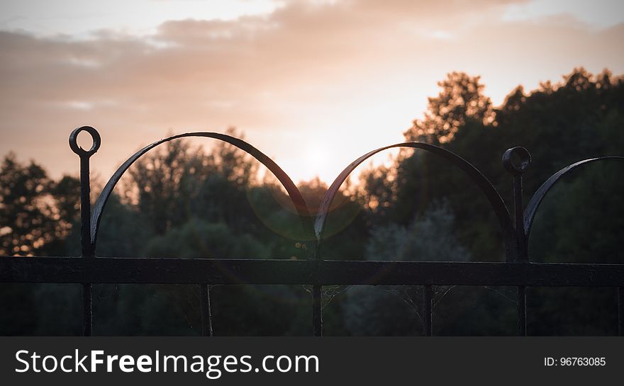 Fence on a background of sunset and trees. Fence on a background of sunset and trees