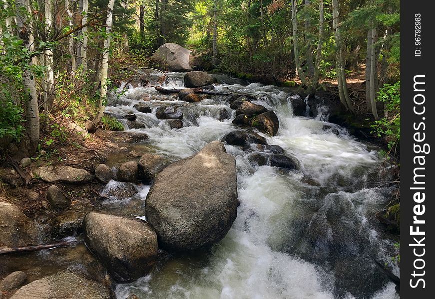 Stream, Body Of Water, Water, Water Resources