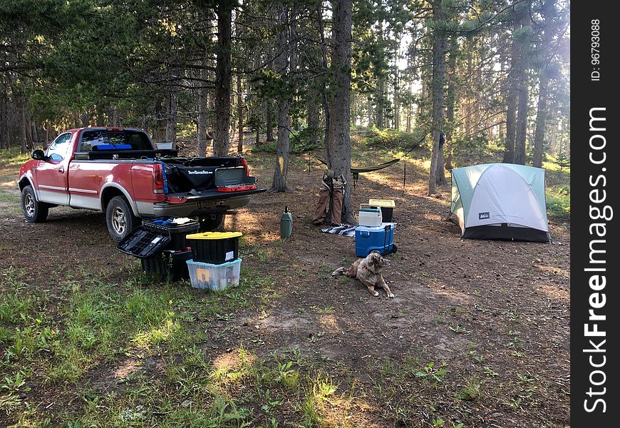 Set Up For Camping