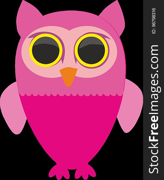 Owl, Pink, Bird, Bird Of Prey