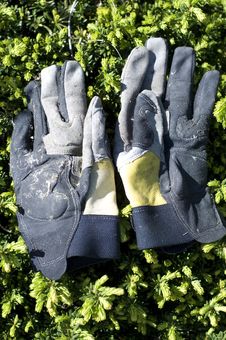 Garden Gloves Stock Photos Garden Gloves Stock Photos