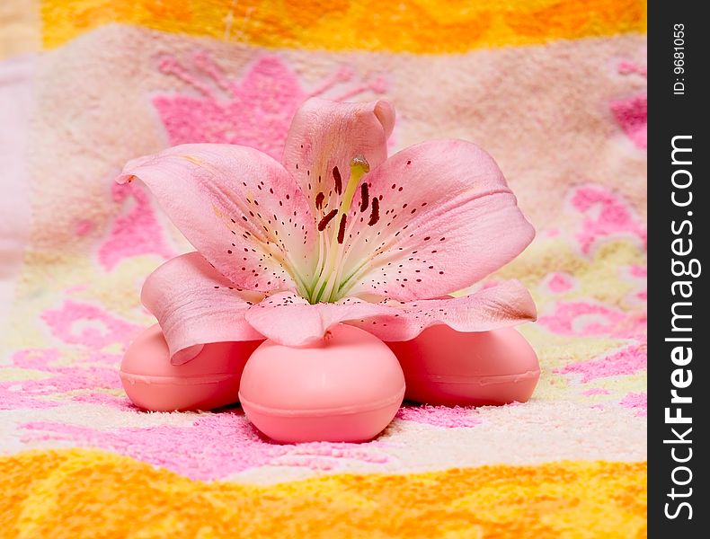 Soap and flower on towel for your design