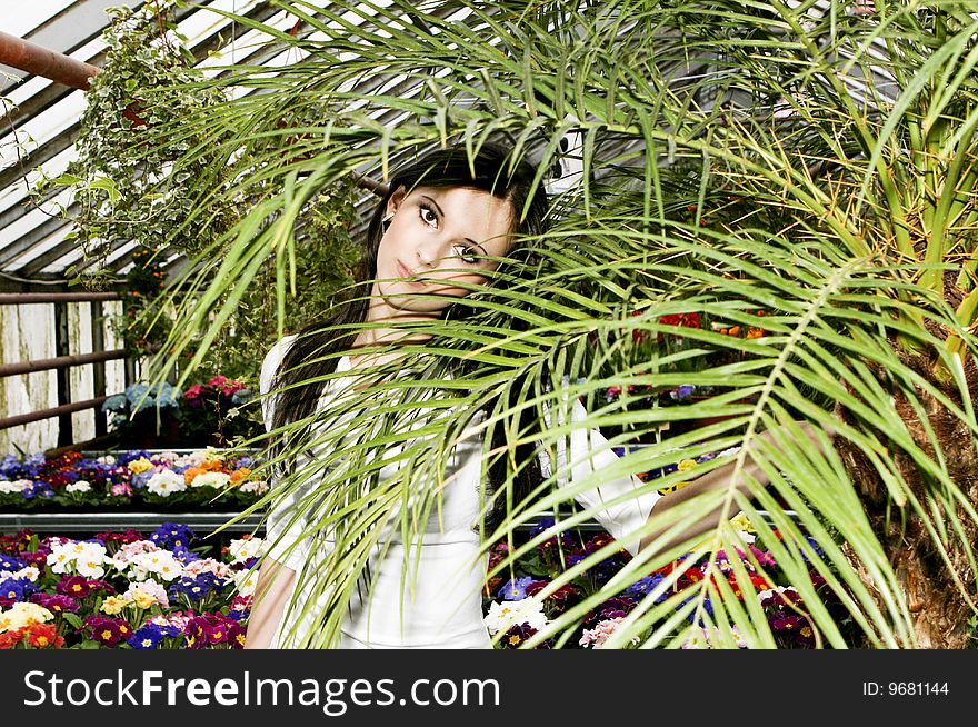 Girl And Palm