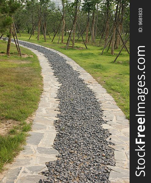 Zhengzhou Botanical Garden, Henan province, China.