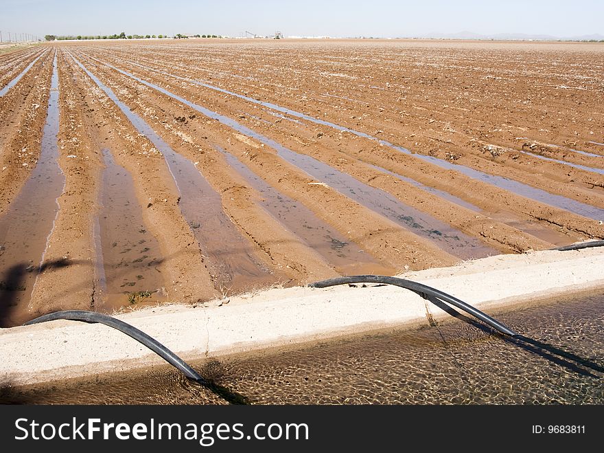 An irrigation canal and siphon tubes beside a field in Arizona. An irrigation canal and siphon tubes beside a field in Arizona