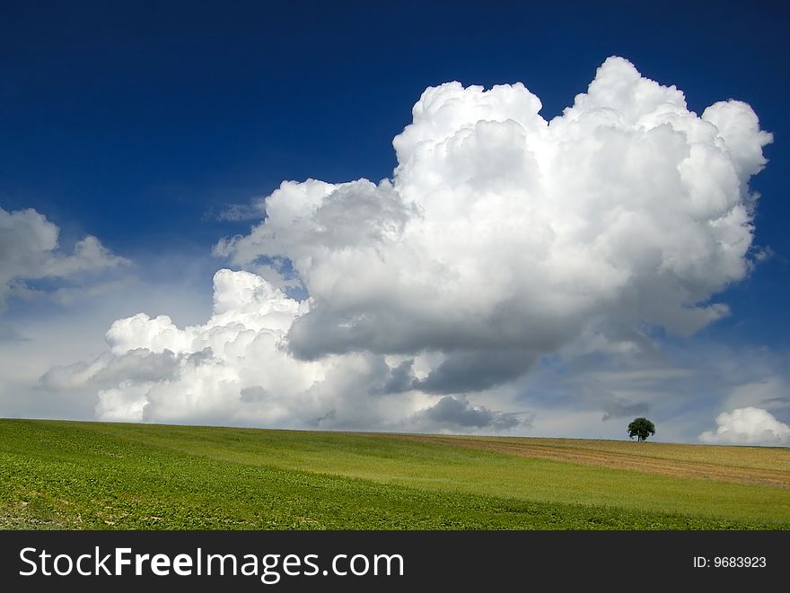 Lonely tree among clouds in teh summer. Lonely tree among clouds in teh summer