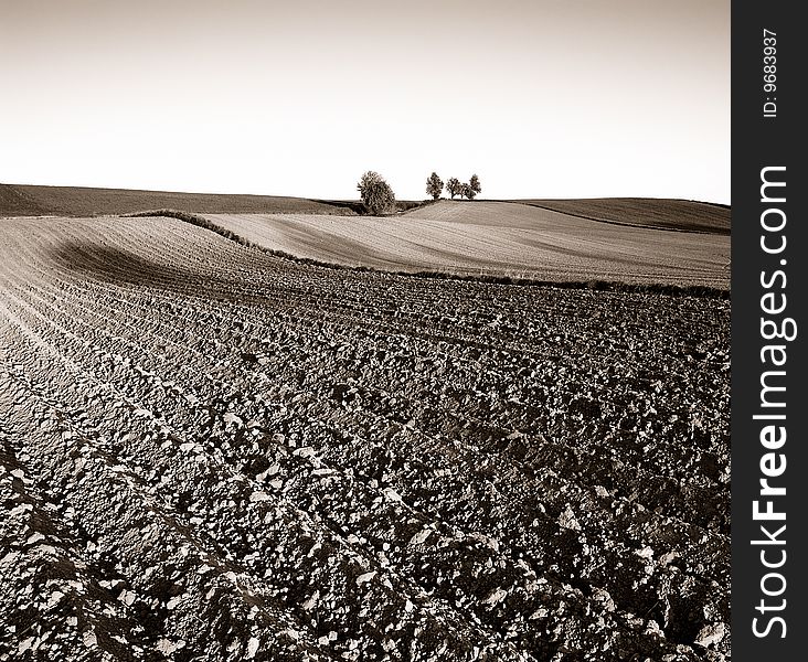 Several trees on the horizon and textured field on the countryside