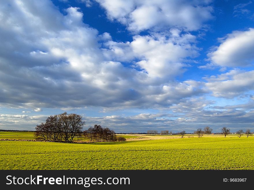 Several tress on the horizon, beautiful sky and clouds and the field in the spring