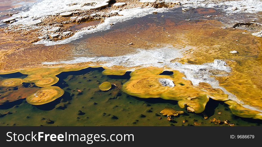 Yellowstone yellow mineral hot pool