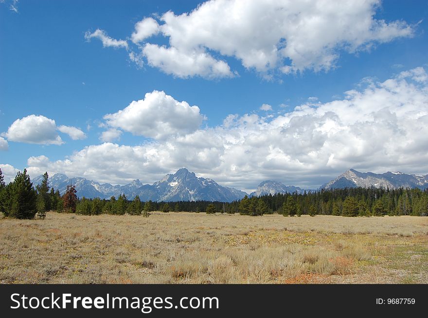 Grand Tetons landscape with prairie in foreground, then forest, then mountain range in back