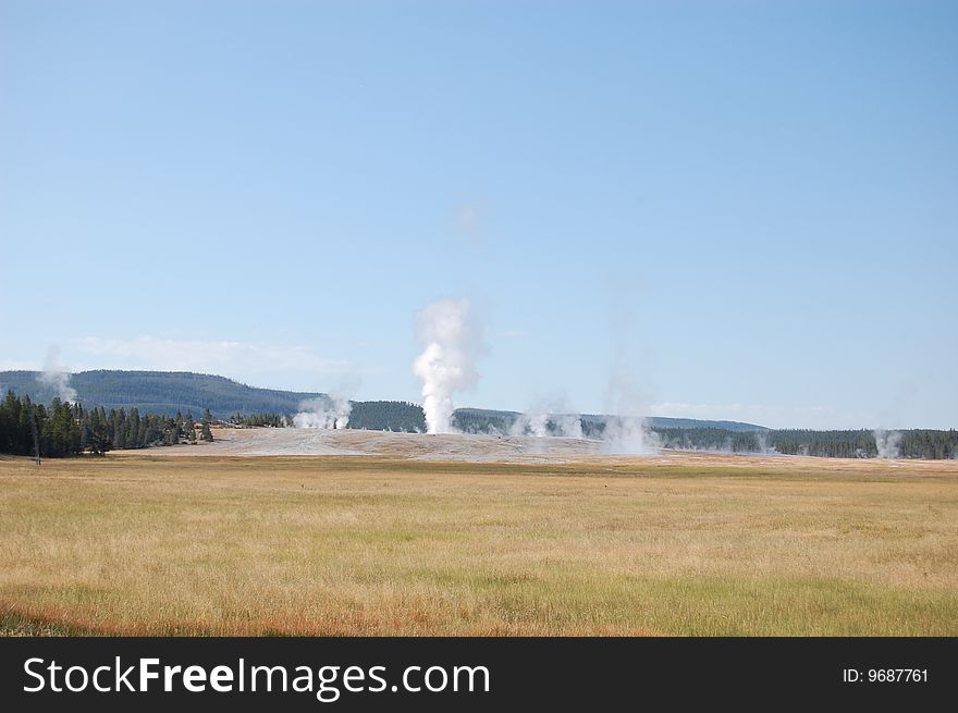 Yellowstone landscape showing many geysers beyond prairie, forest in the background. Yellowstone landscape showing many geysers beyond prairie, forest in the background