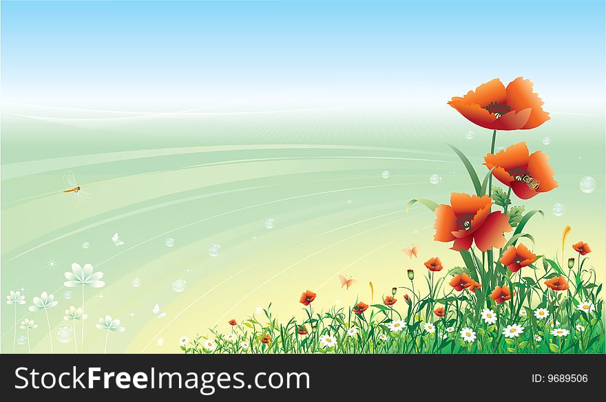 Beautiful floral design with poppies