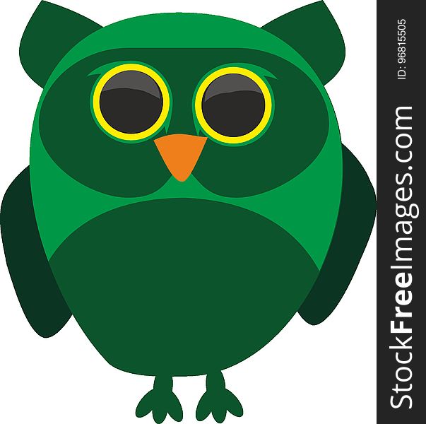 Owl, Green, Beak, Bird