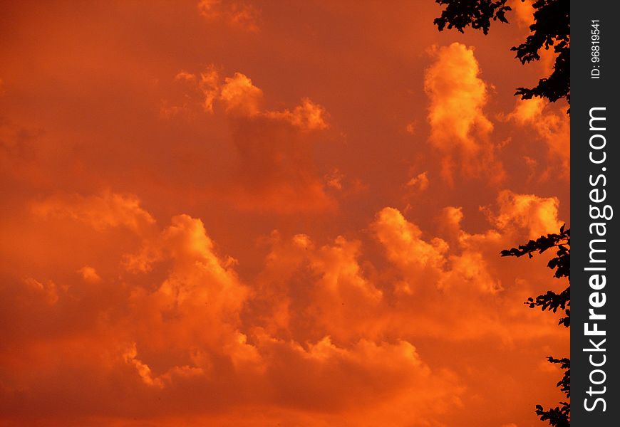 Sky, Afterglow, Red Sky At Morning, Cloud