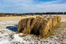 Winter Hay Field In December Royalty Free Stock Image Winter Hay Field In December Royalty Free Stock Image