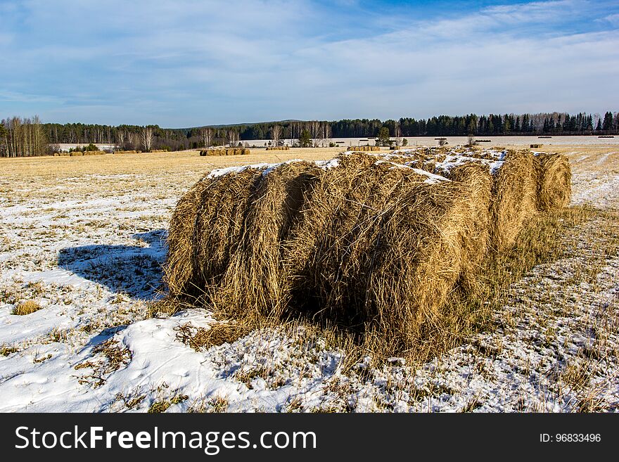 Winter Hay Field In December