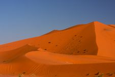 Subjugaton Of The Highest Desert Dune Royalty Free Stock Photo