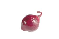 Red Onion Royalty Free Stock Image Red Onion Royalty Free Stock Image
