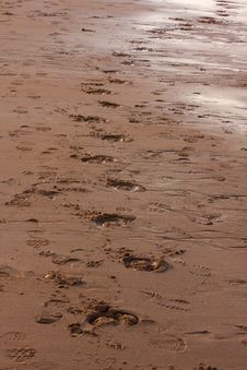 Footprints In The Sand Stock Image Footprints In The Sand Stock Image