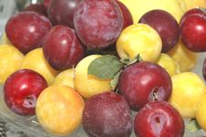 Red And Yellow Cherry Plum... Royalty Free Stock Images Red And Yellow Cherry Plum... Royalty Free Stock Images
