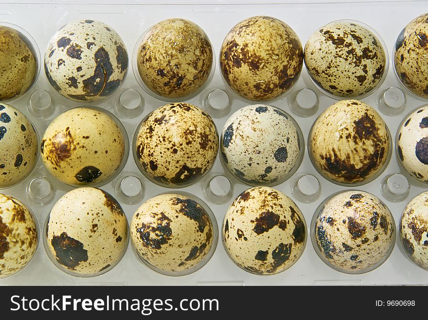 Quail Eggs