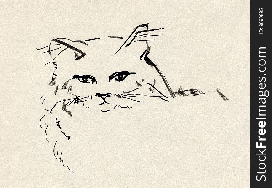 Nice looking cat. Black ink on paper. Nice looking cat. Black ink on paper.