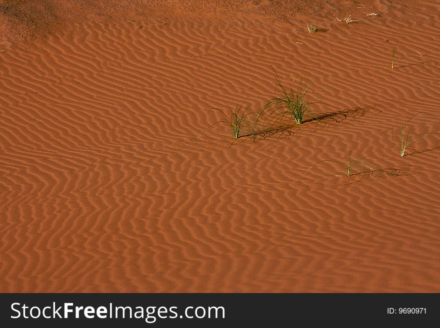 Waves curves at sand of desert. Waves curves at sand of desert