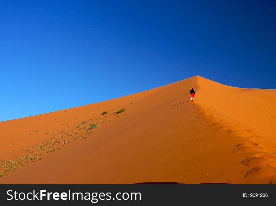 Young woman is climbing at the top of the highest desert dune. Young woman is climbing at the top of the highest desert dune