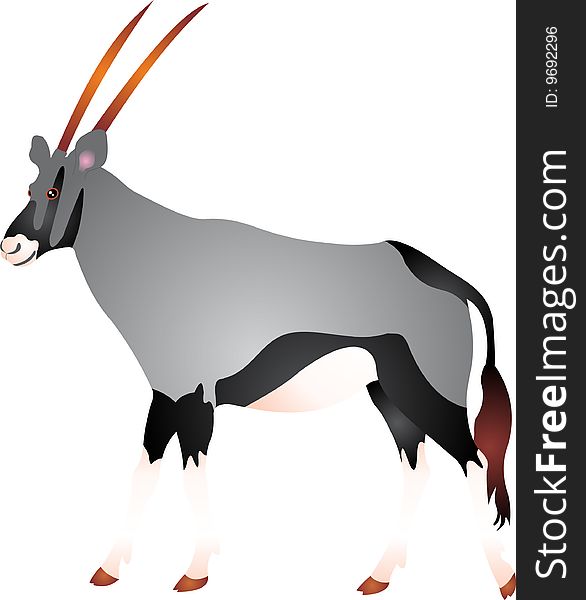 Gemsbok