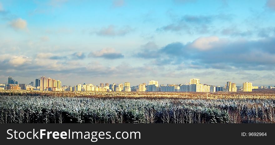 A view of a snowed forest and a big city behind it on a sunny winter day. A view of a snowed forest and a big city behind it on a sunny winter day