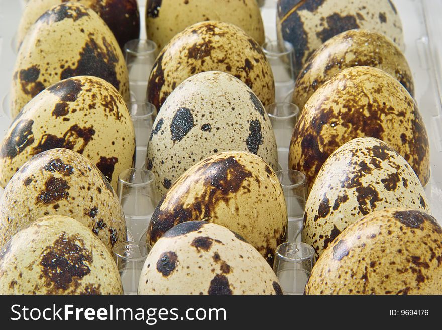 Serie of original Quail Eggs