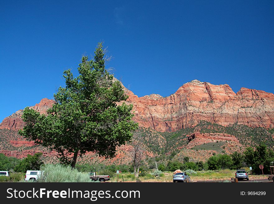 Stock image of Zion National Park, USA