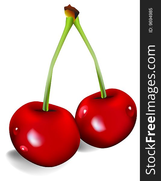 Cherry illustration on white background