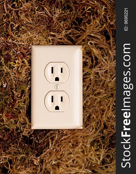 An American power outlet on a moss covered background. An American power outlet on a moss covered background