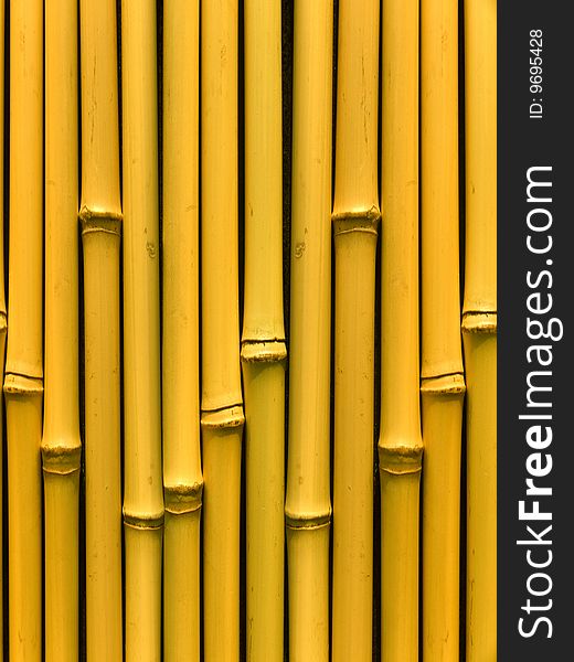 Bamboo stalks an abstract background