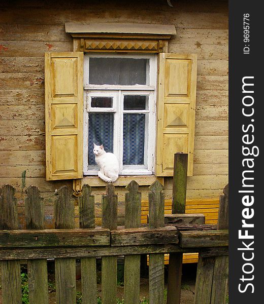 The cat sits at a window of the old house. The cat sits at a window of the old house