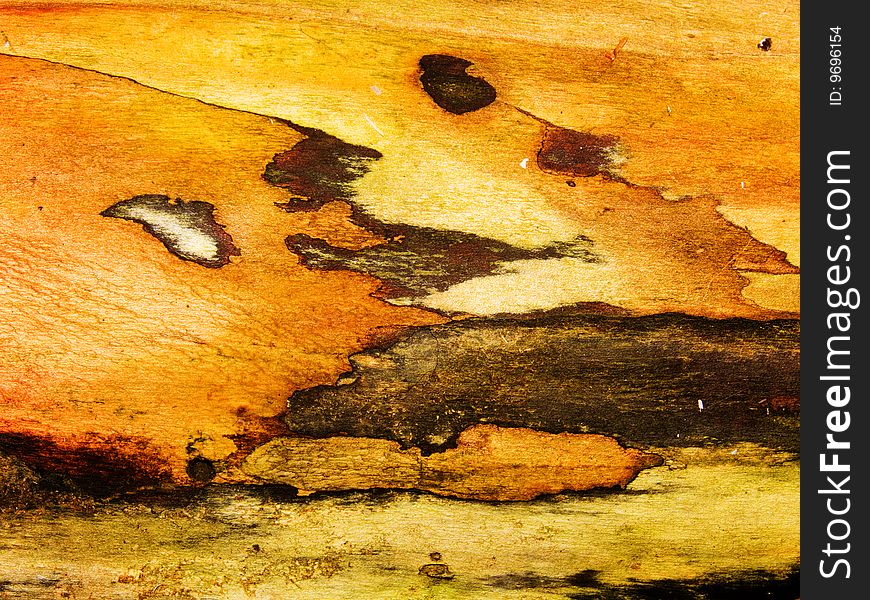 Tree a poplar an abstract background