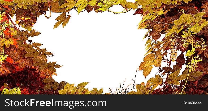 Decorative greenery background, shaping irregular frame. Decorative greenery background, shaping irregular frame.