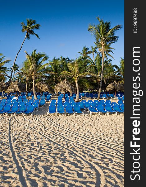 Many blue lounges on white sand beach with palms