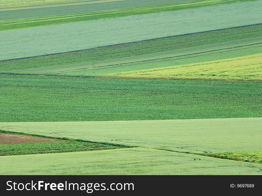 Cultivated land in a specific pattern. Cultivated land in a specific pattern
