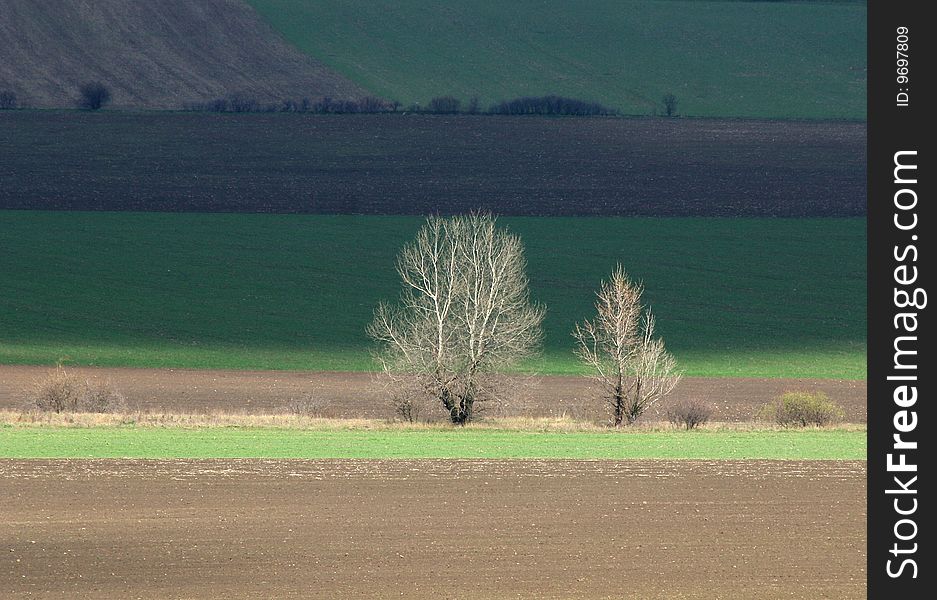 Cultivated land in early spring landscape.
