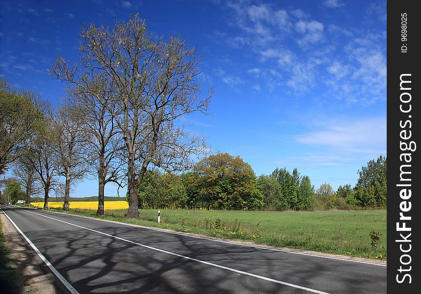 Country road goes through a scenario of trees, green grass, bright blue sky and yellow field in the distance. Country road goes through a scenario of trees, green grass, bright blue sky and yellow field in the distance
