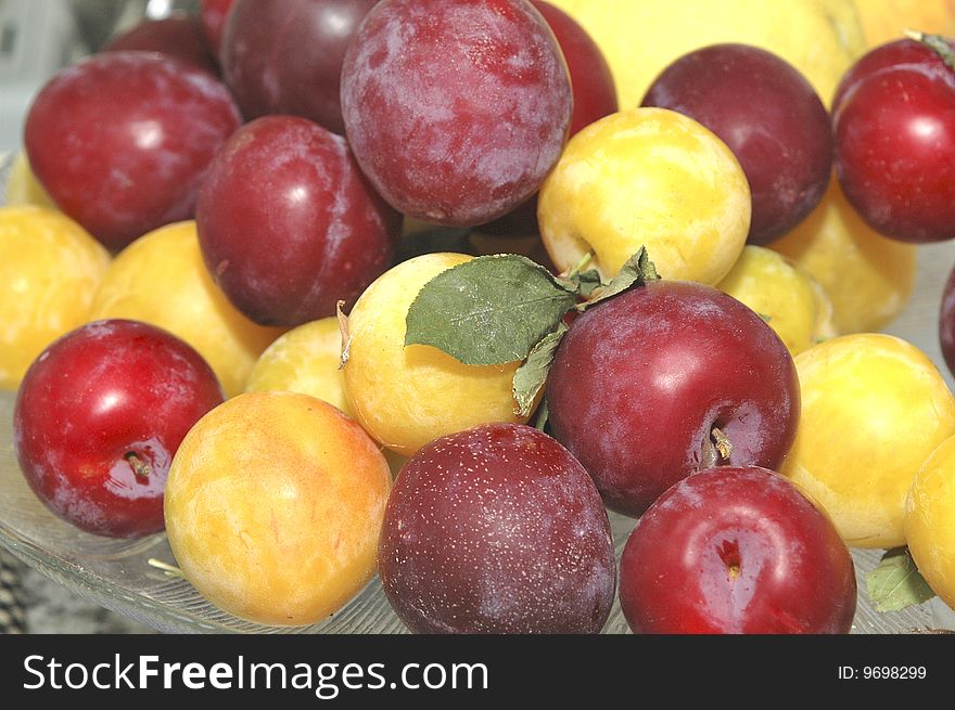 Red and Yellow and fresh cherry plum. Red and Yellow and fresh cherry plum