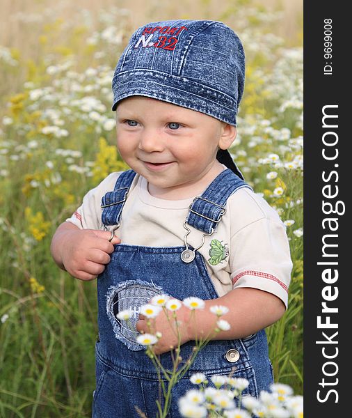 The little boy in a meadow with camomiles. The little boy in a meadow with camomiles