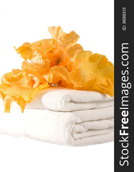 Orange Iris And Towels