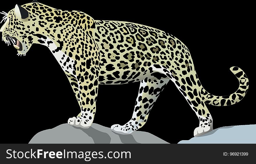 Leopard, Terrestrial Animal, Jaguar, Wildlife