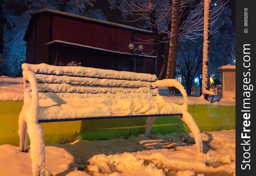Outdoor Bench, Snow, Plant, Wood