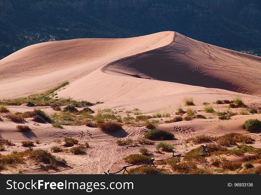 Desert At Daytime