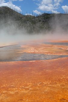 Hot Spring Geyser_Bacterial Formation Royalty Free Stock Photography Hot Spring Geyser_Bacterial Formation Royalty Free Stock Photography